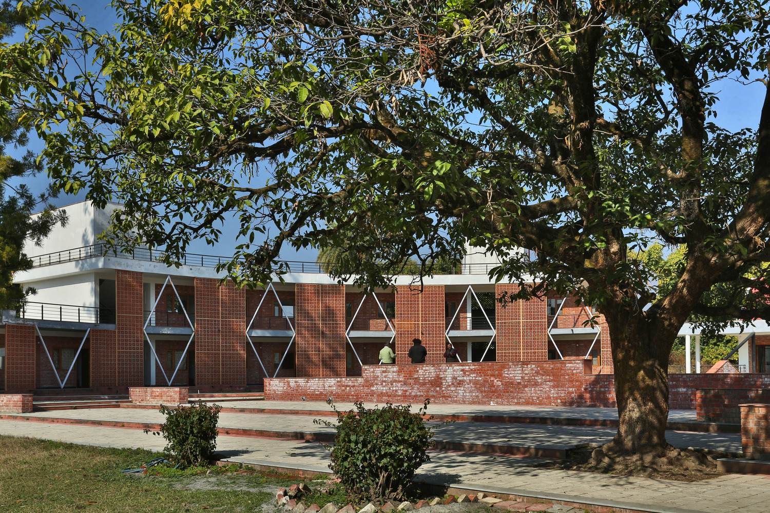 于陶土花格窗间，窥得建筑与自然共生之境