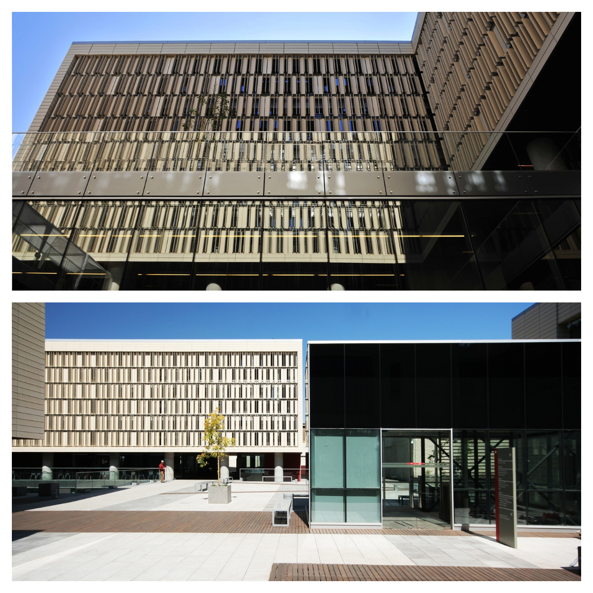 陶板为媒：历史与现代的建筑对话