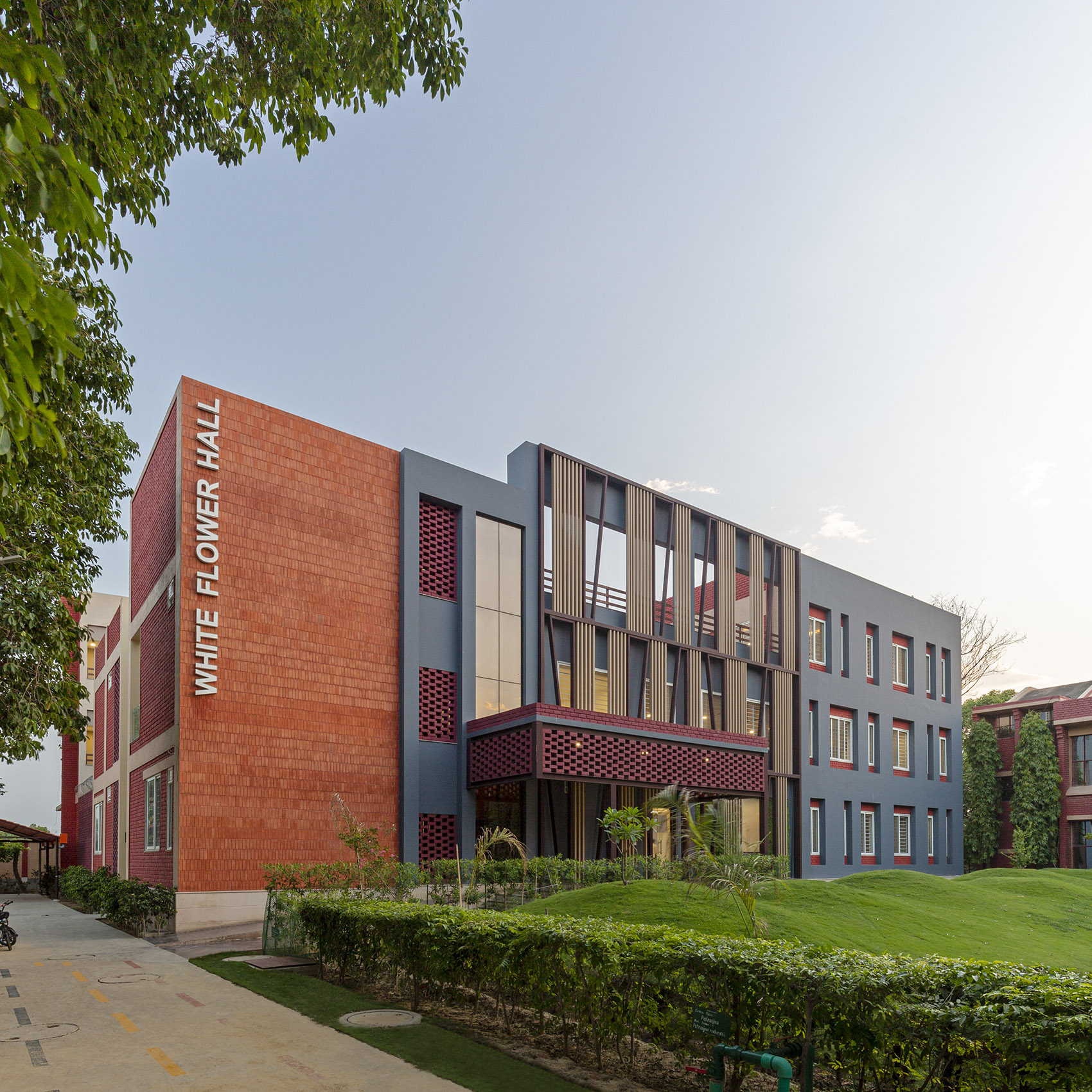 陶土砖为笔，绘就宿舍的温暖新篇